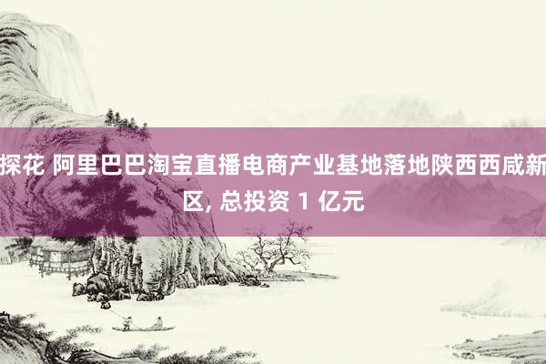 探花 阿里巴巴淘宝直播电商产业基地落地陕西西咸新区， 总投资 1 亿元