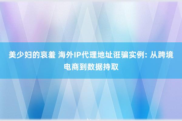 美少妇的哀羞 海外IP代理地址诳骗实例: 从跨境电商到数据持取