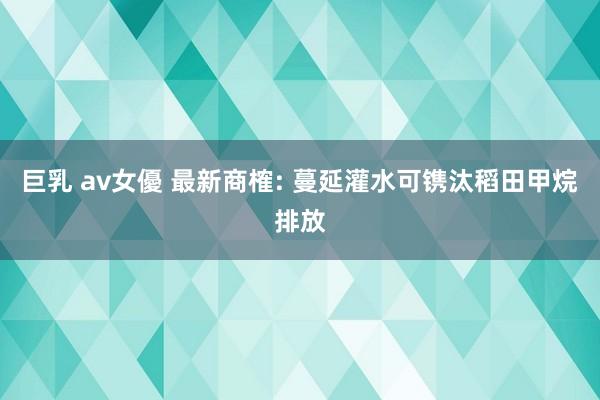 巨乳 av女優 最新商榷: 蔓延灌水可镌汰稻田甲烷排放