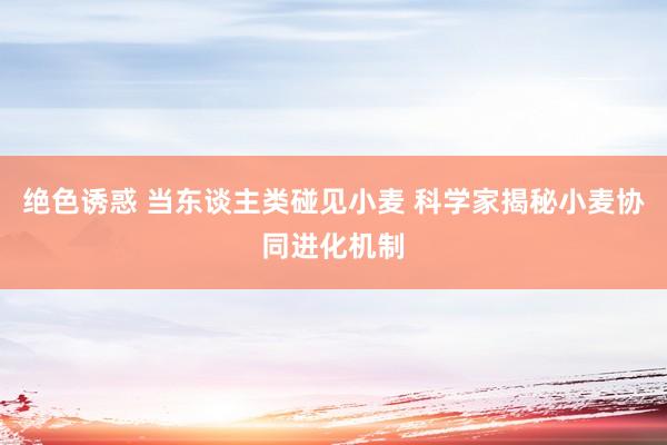 绝色诱惑 当东谈主类碰见小麦 科学家揭秘小麦协同进化机制