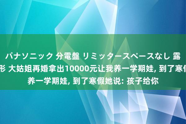 パナソニック 分電盤 リミッタースペースなし 露出・半埋込両用形 大姑姐再婚拿出10000元让我养一学期娃， 到了寒假她说: 孩子给你
